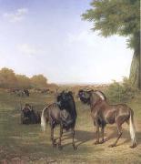 Jacques-Laurent Agasse White-Tailed Gnus (mk25) painting